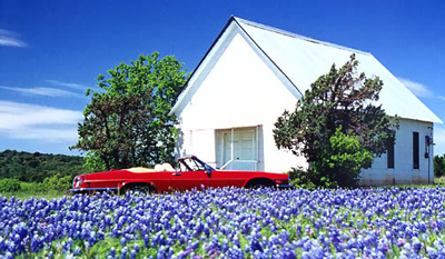 Martha Davis, 1995 XJS Convertible, 6 cyl