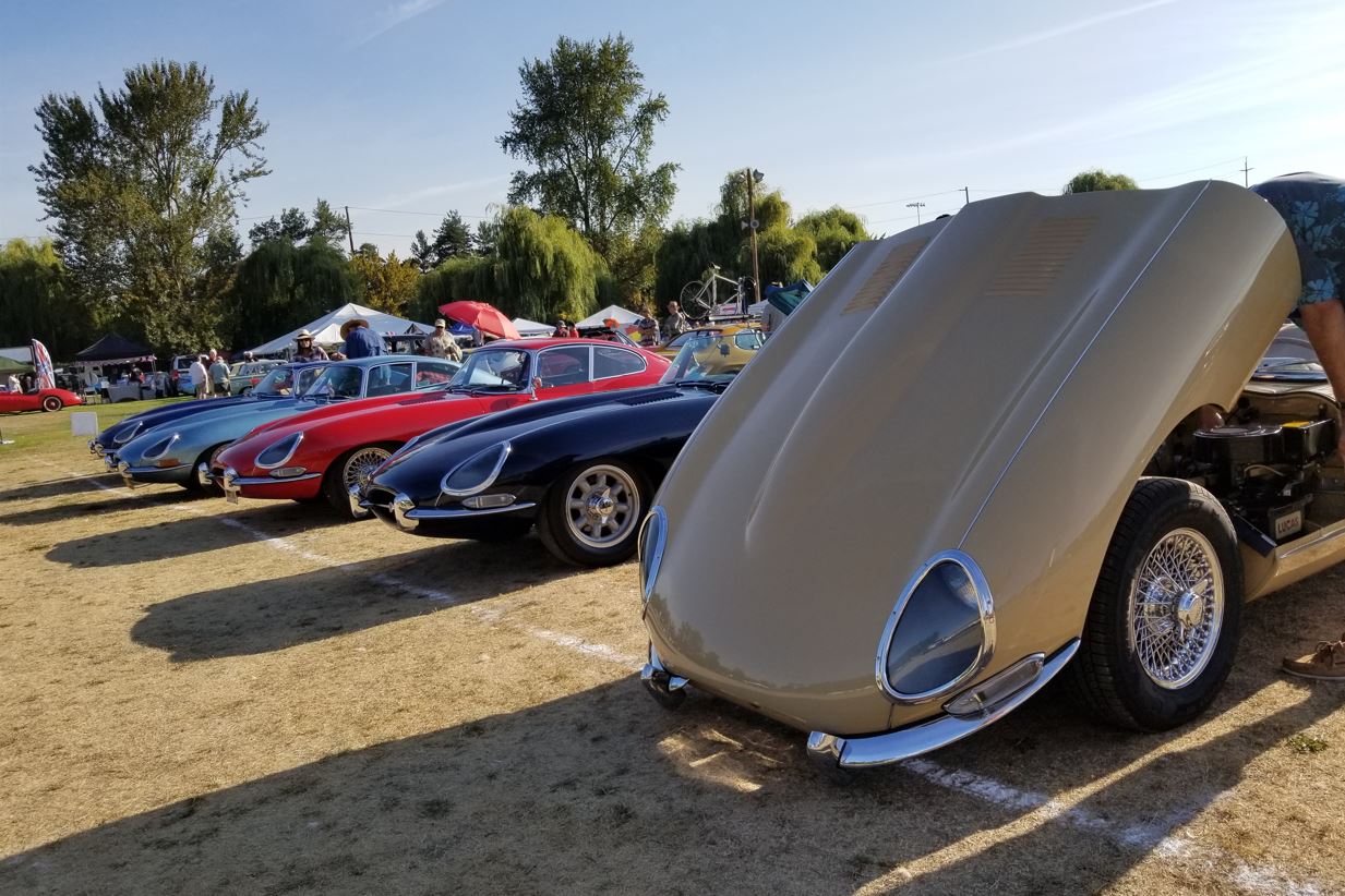 Line up of E-Types.