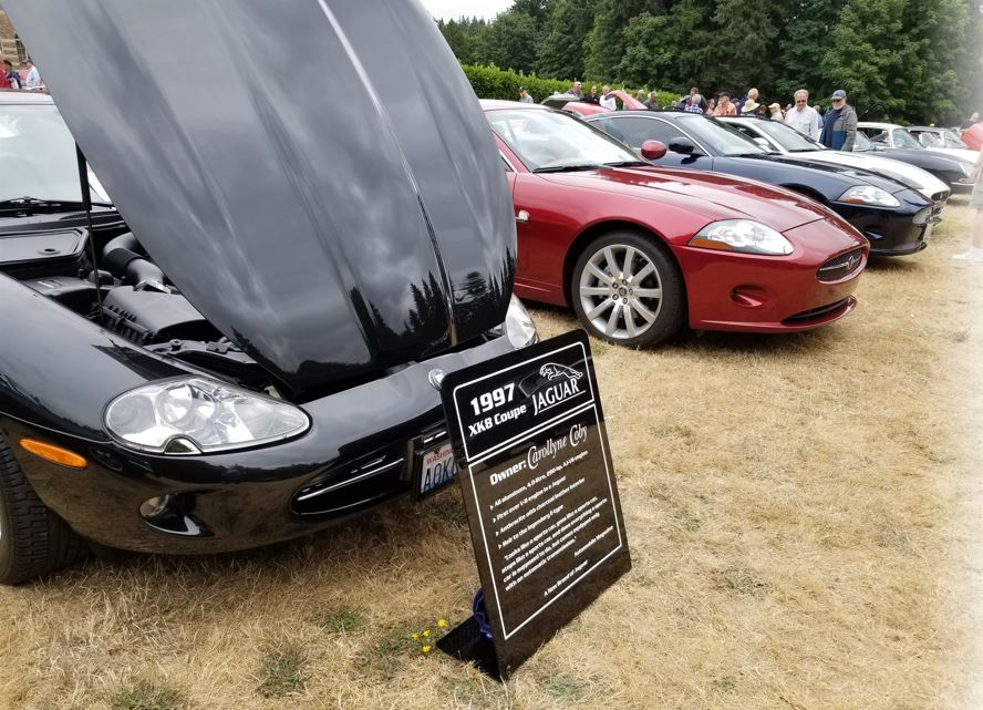 1997 XK8 was one of two cars brought by Carollyne Coby.