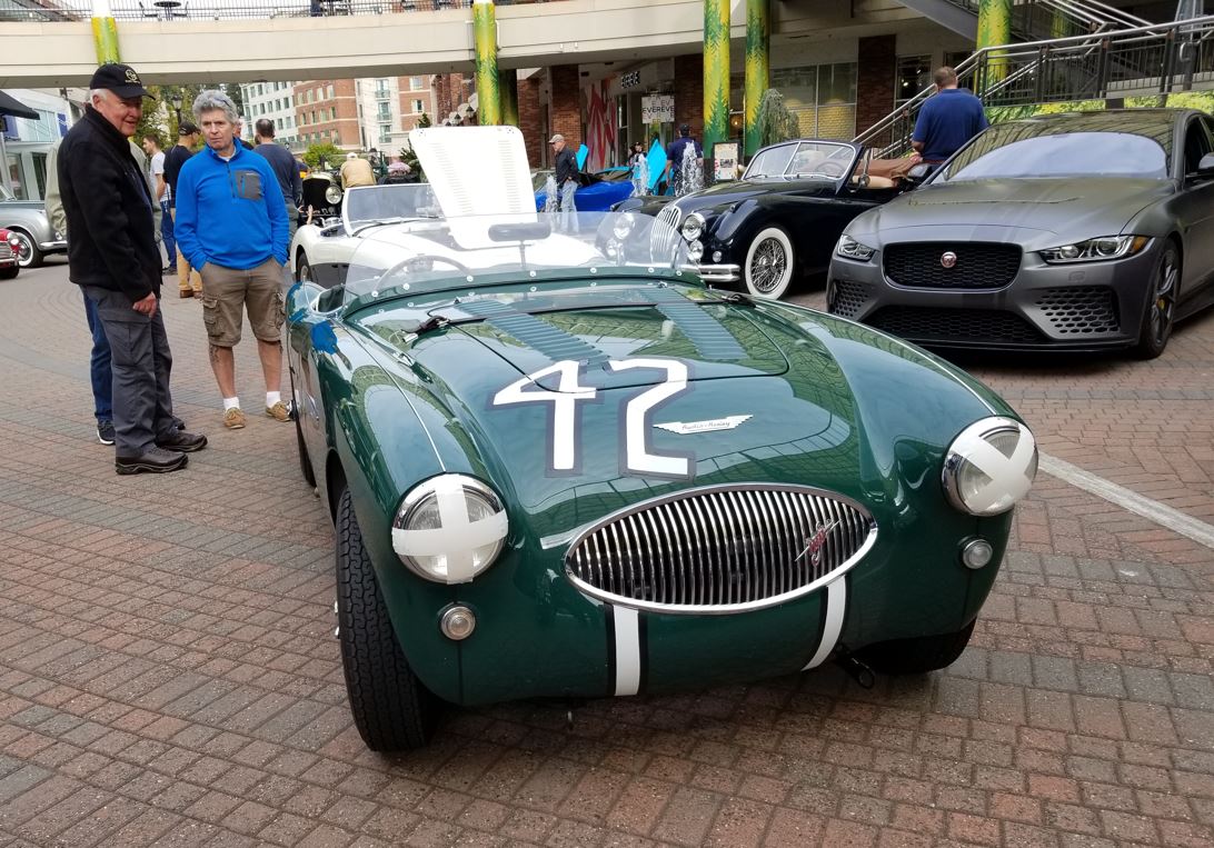 Greg couldn't understand why I wanted him to pose with his Jaguar when he had also brought this #42 Austin Healy racing car which, apparently, was much more valuable and probably has a story.