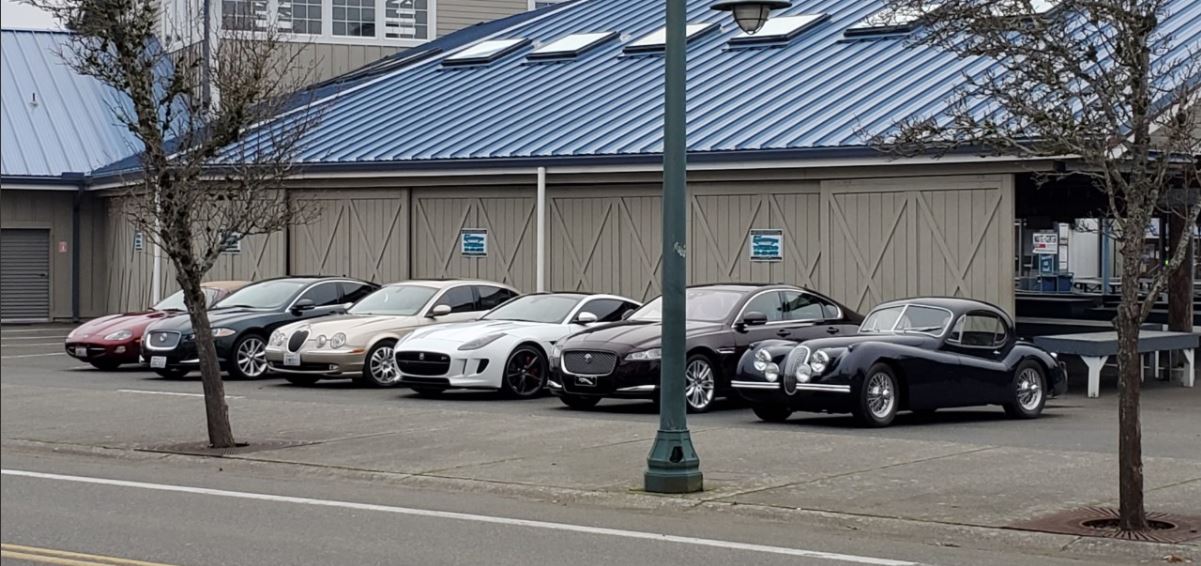 The Jaguars parked across the street from the restaurant.  L-R, XK8 belonging to Tom Hilton & Margaret Ames, XF belonging to Wikens, S-Type belonging to Cases, F-Type belonging to Kurt Hrubant, XF belonging to Roy Pringle and XK120 belonging to Art Foley.