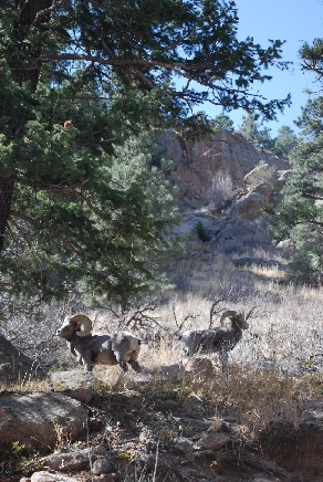 2009 AGM in Denver