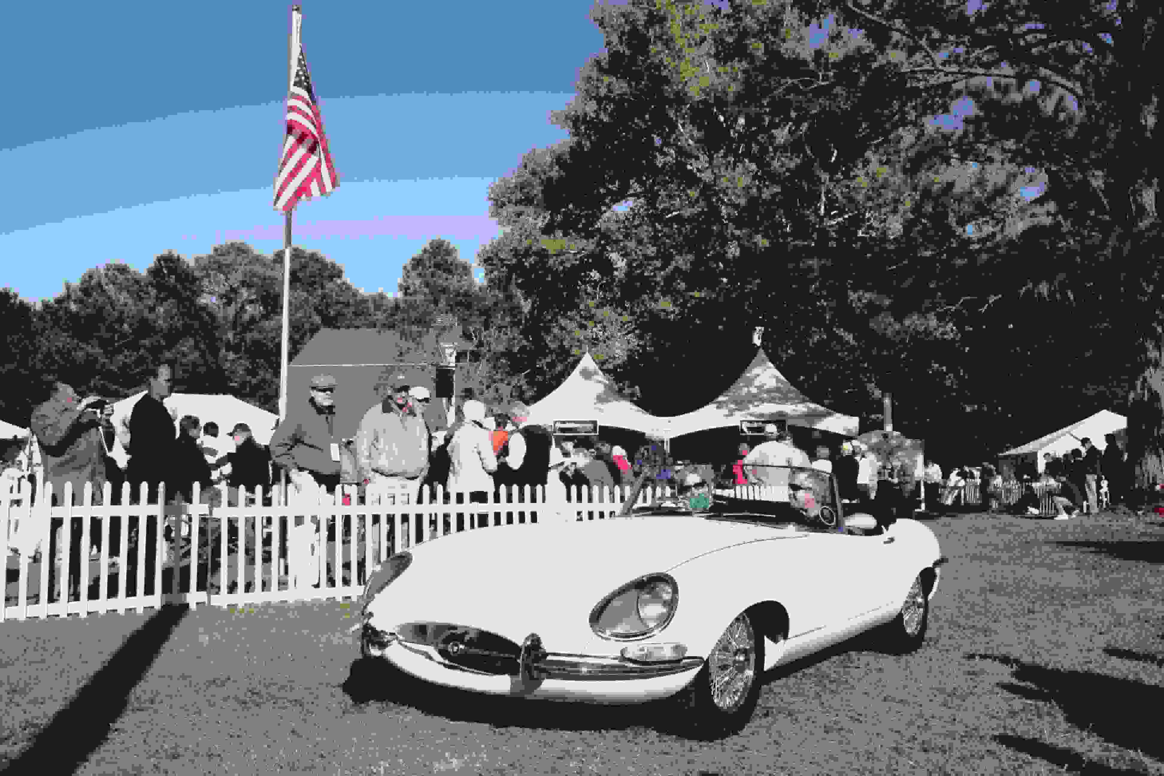 1964 E Type