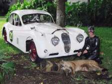 2003 Annual Concours : Got Cat?